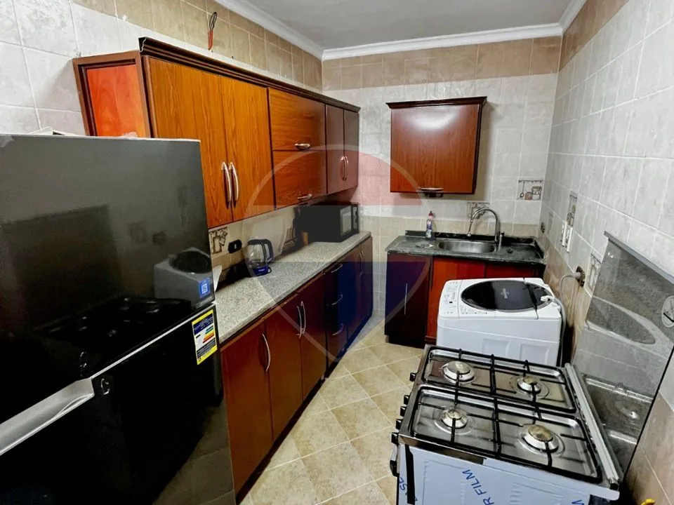 Apartment for rent in Opera city Sheikh zayed