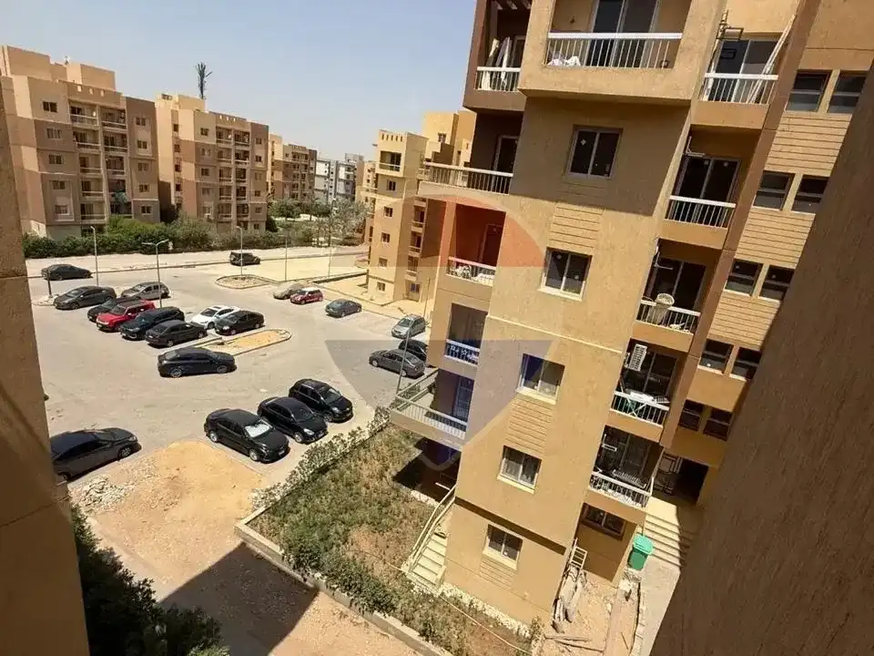 شقة