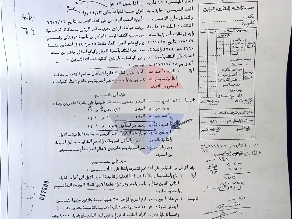 شقة