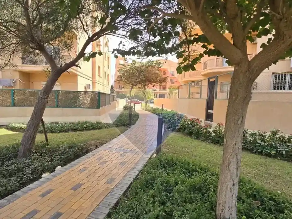 شقة