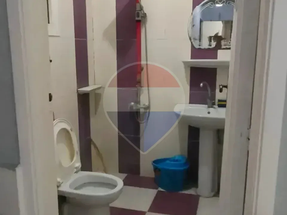شقة