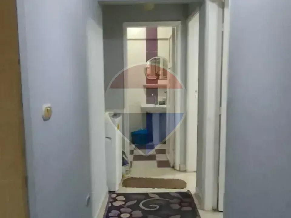 شقة
