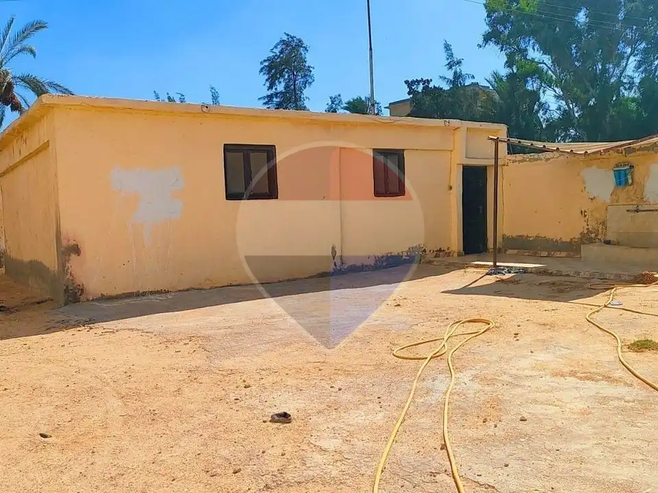 - للبيع مزرعه 14 فدان بعد كارته اسكندرية ب 12 كيلو ( كينج ماريوط الطريق الصحراوي)