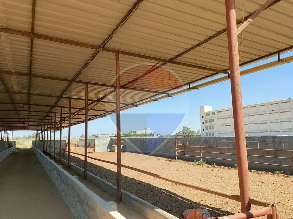 - للبيع مزرعه 14 فدان بعد كارته اسكندرية ب 12 كيلو ( كينج ماريوط الطريق الصحراوي)