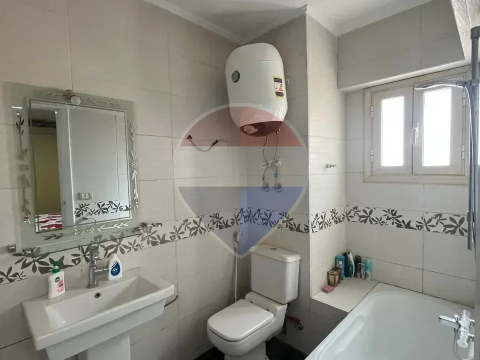 شقة