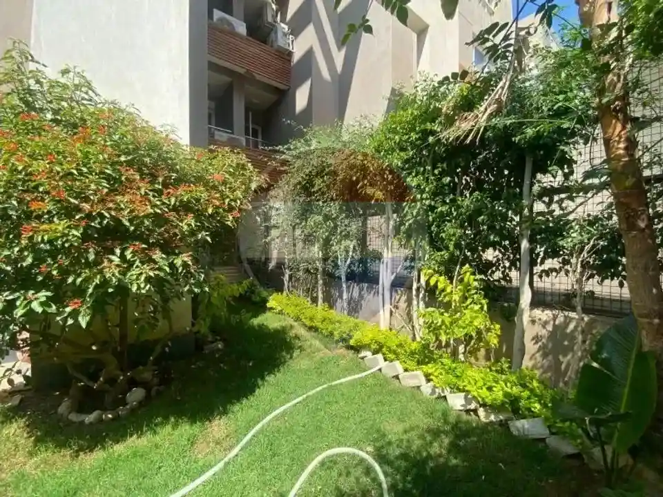 شقة دور ارضي