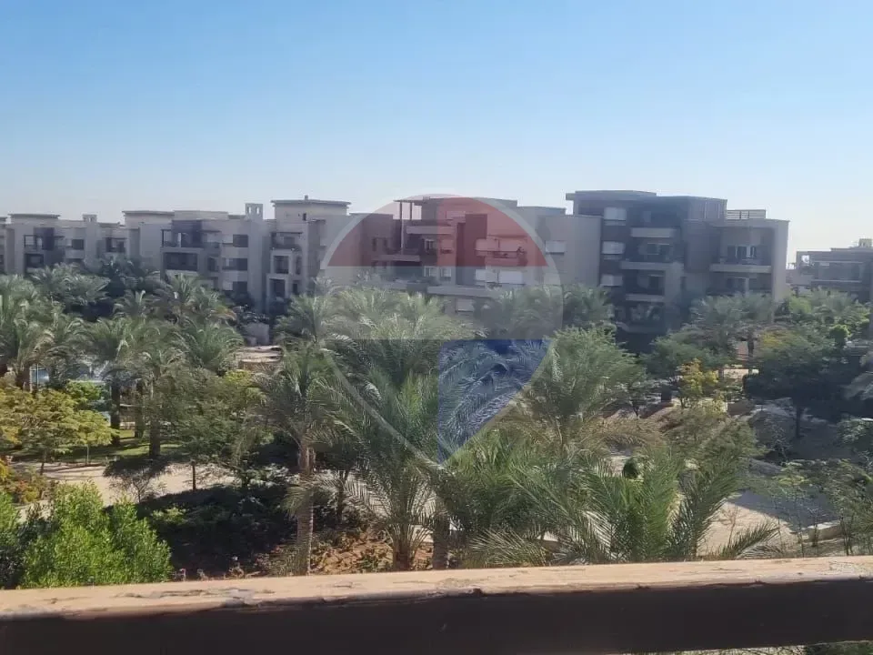 شقة