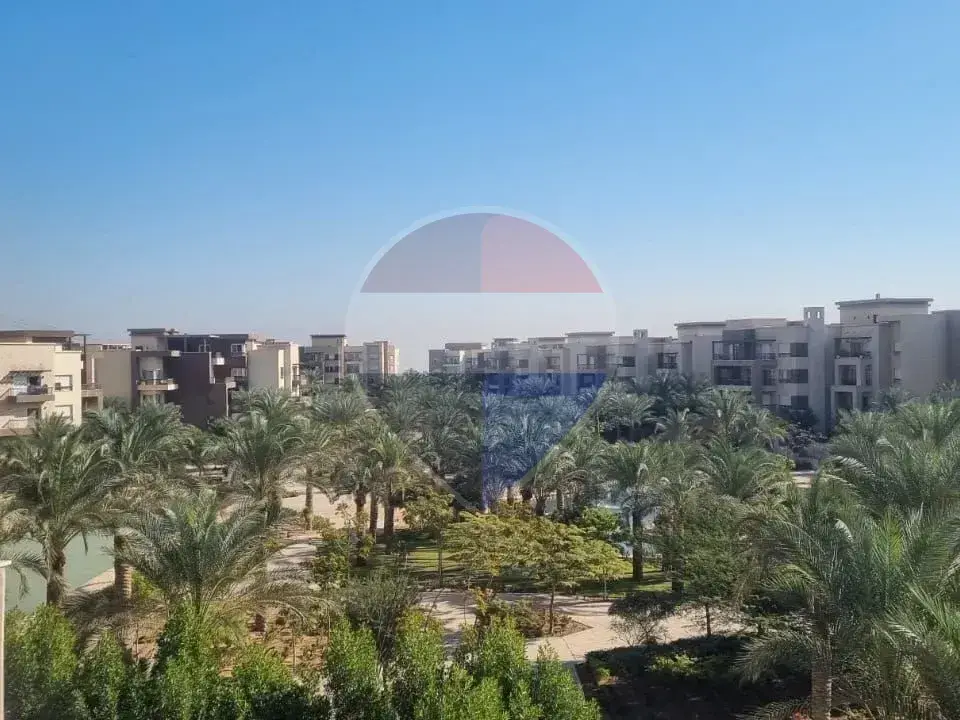 شقة