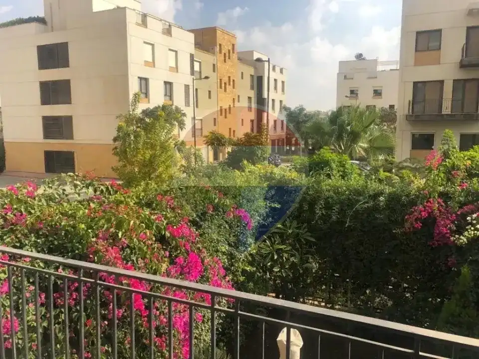 شقة