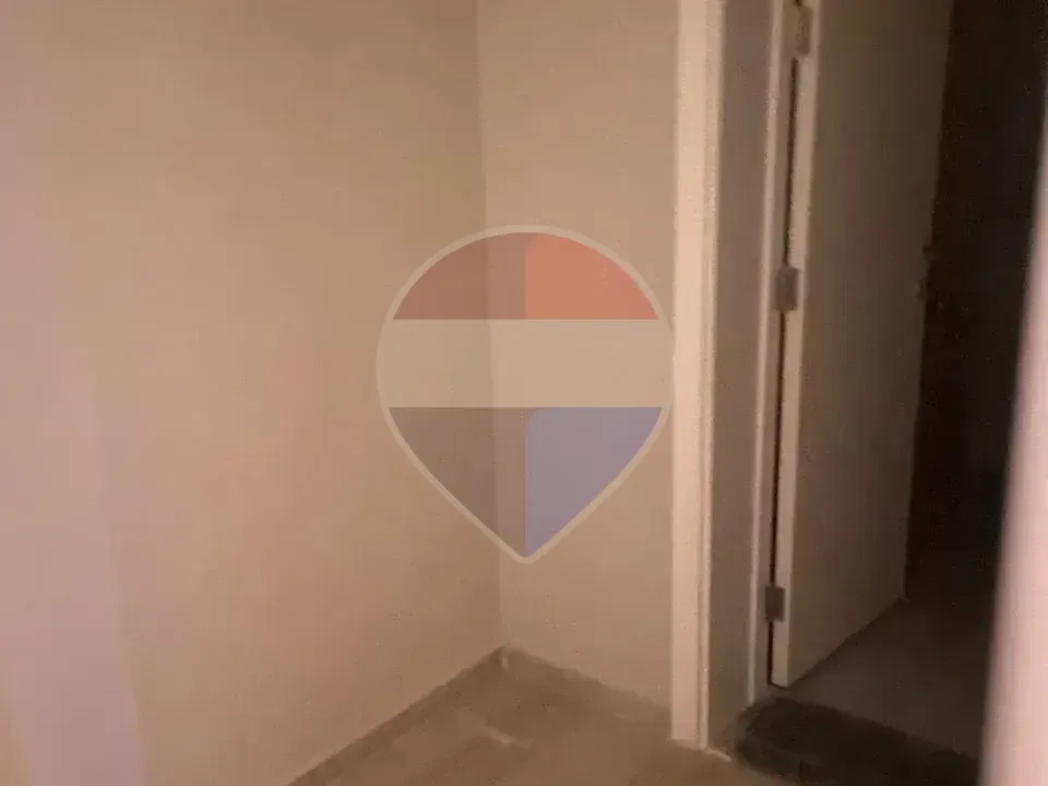 شقة
