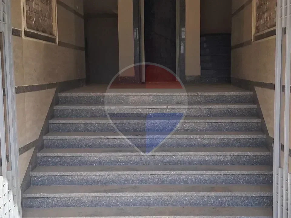 شقة