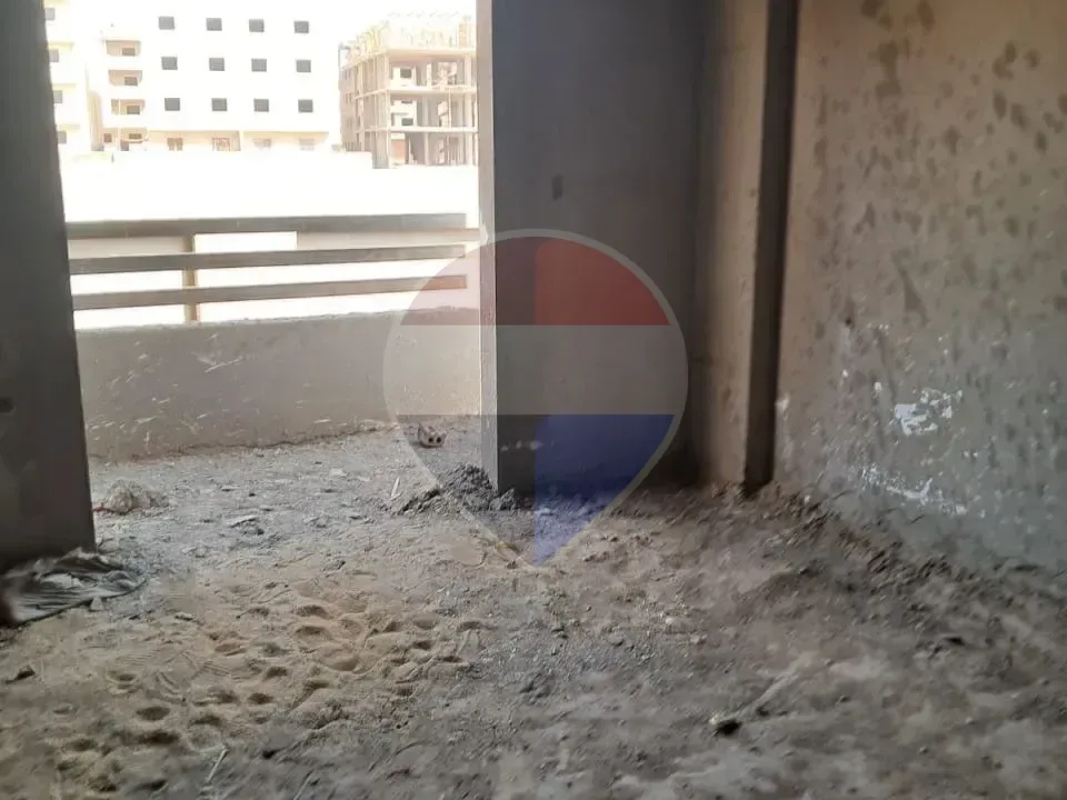 شقة