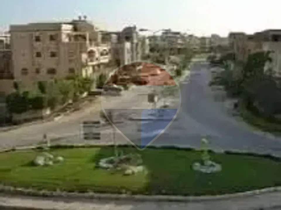 شقة