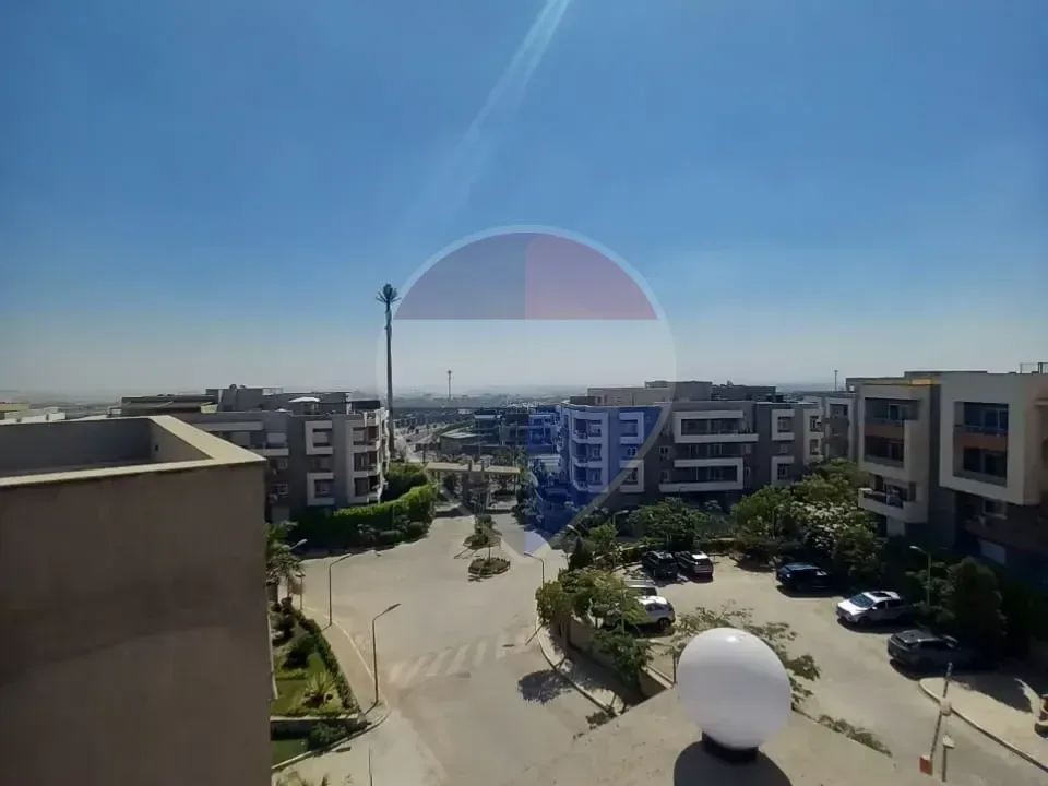 شقة