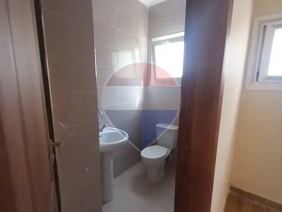 شقة