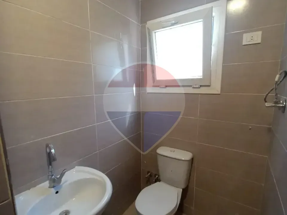 شقة