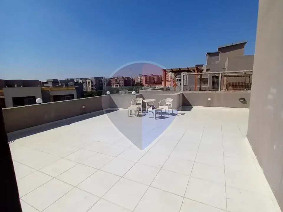 شقة