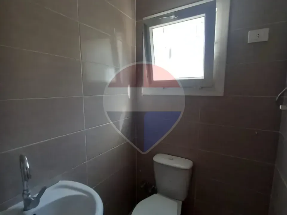 شقة