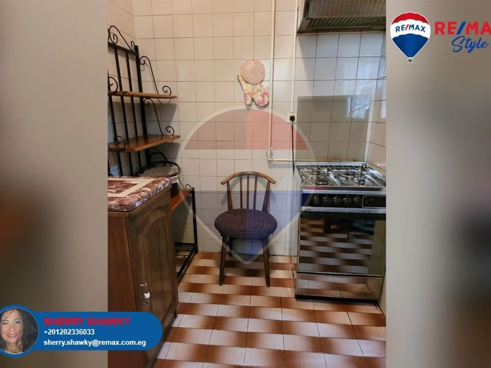 For Rent 300 m luxurious fully furnished apartment