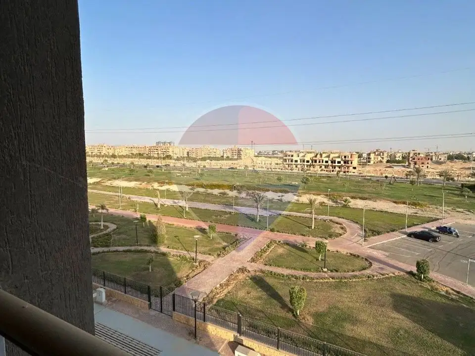 شقة