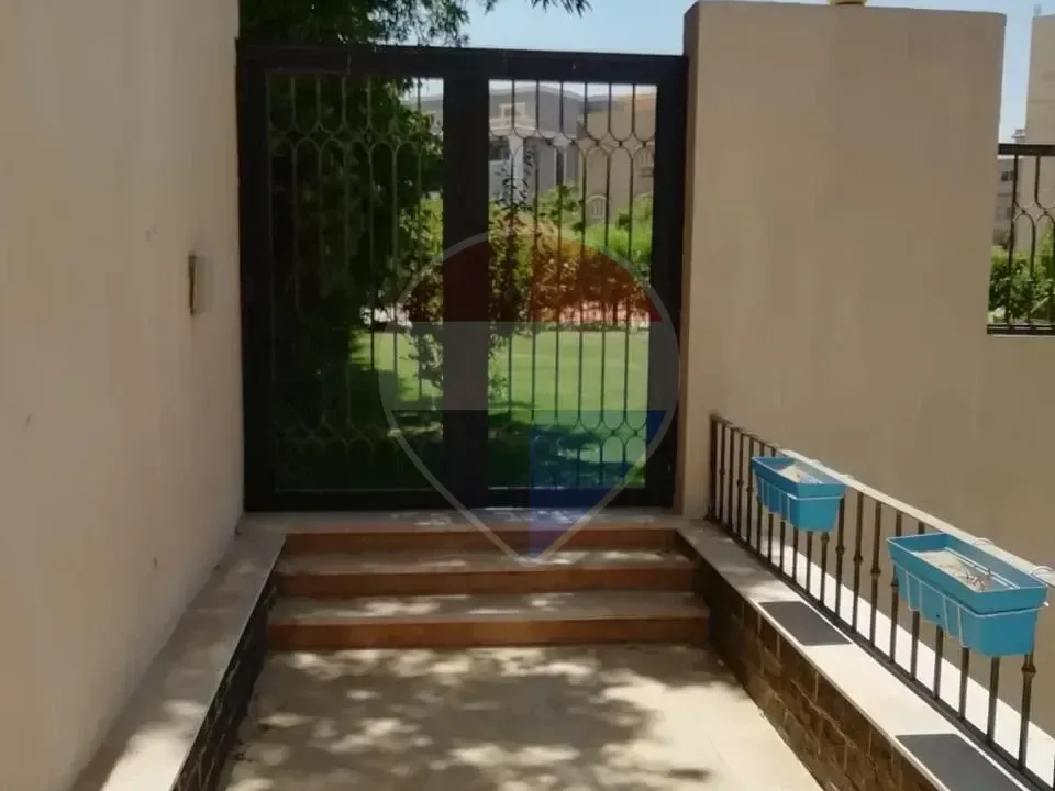 شقة