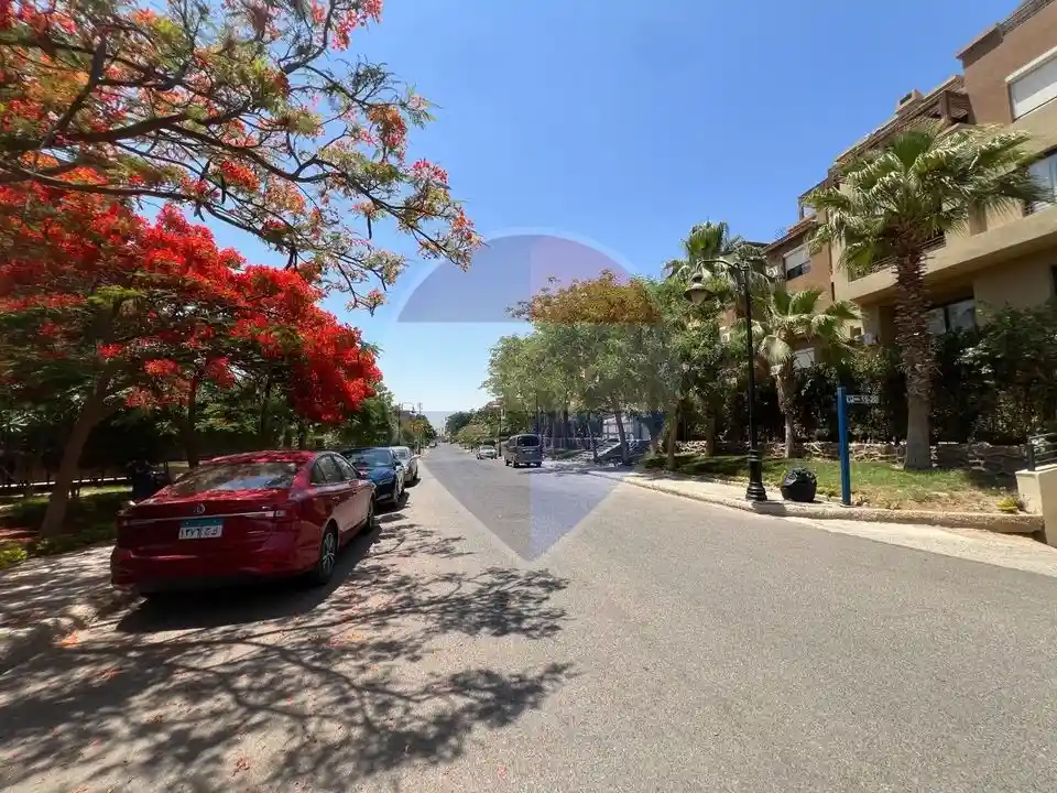 Furnished Apartment for Rent in Casa Sodic