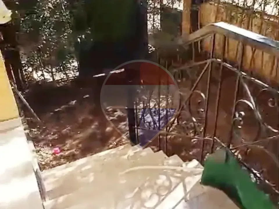شقة دور ارضي
