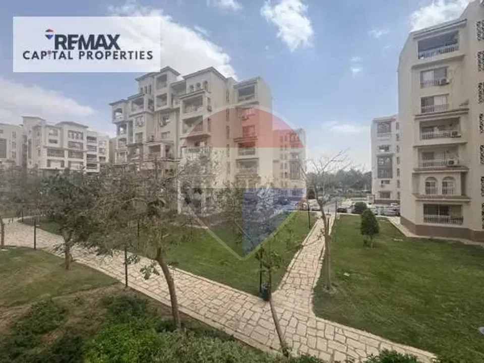 شقة