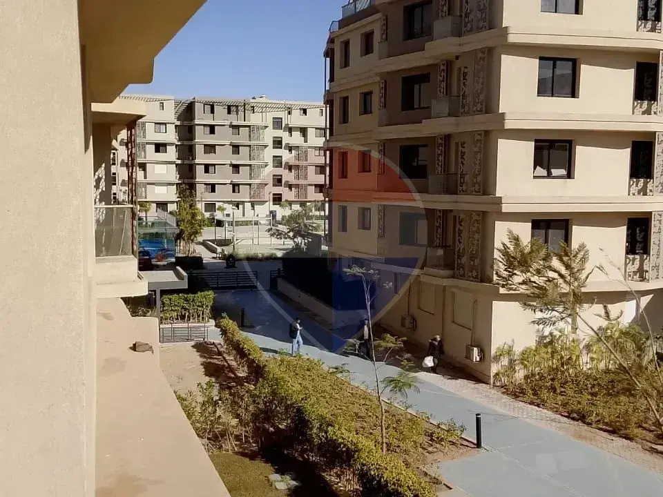 شقة