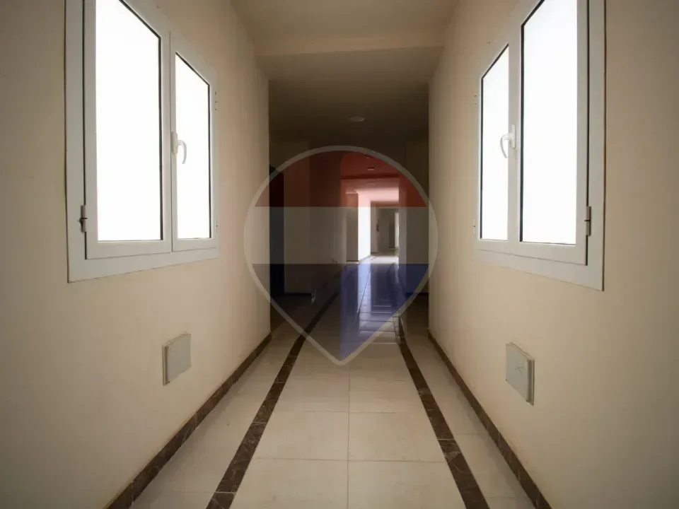 شقة