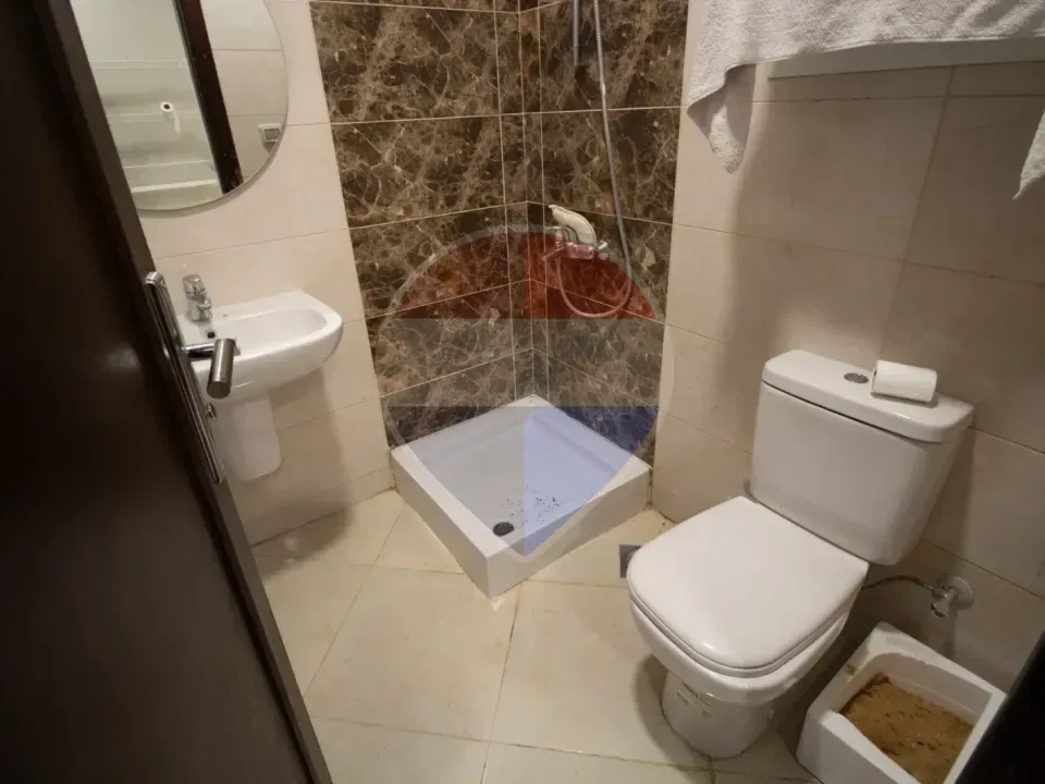 شقة