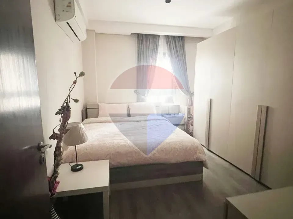شقة