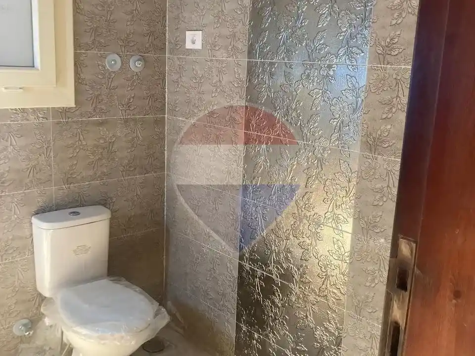 شقة