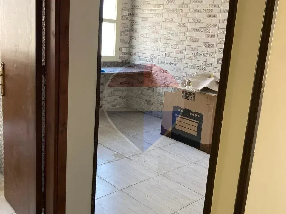 شقة