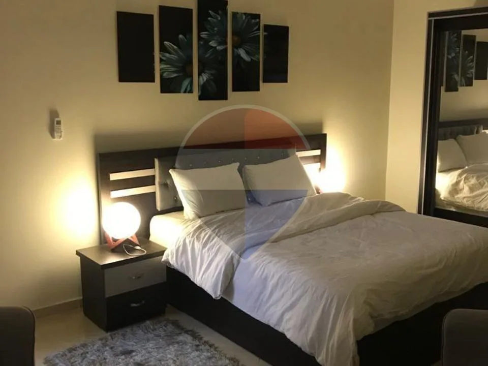 Furnished Apartment in Dar Misr 12th District