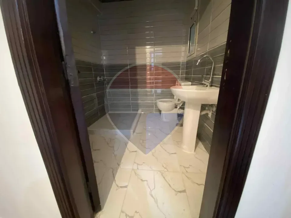 شقة