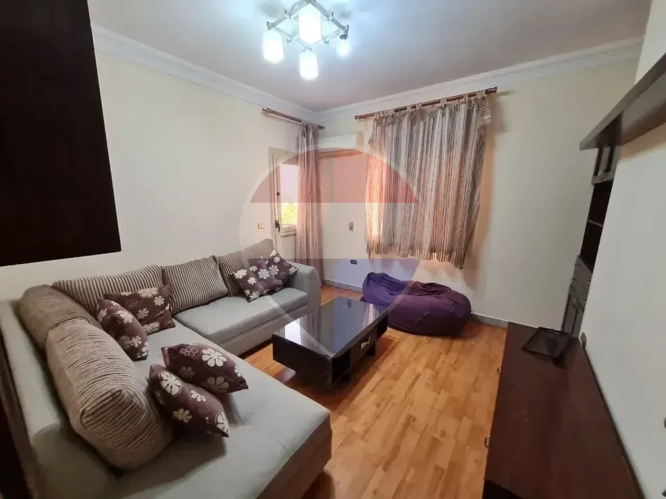 Fully Furnished Apartment in Hadayeq El Mohandsin