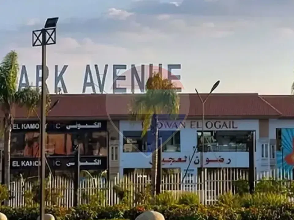 Commercial Shop for Sale in Park Avenue Mall