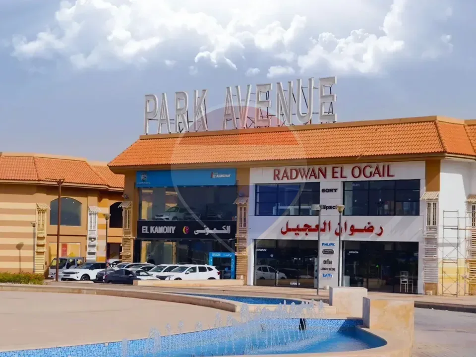 Commercial Shop for Sale in Park Avenue Mall