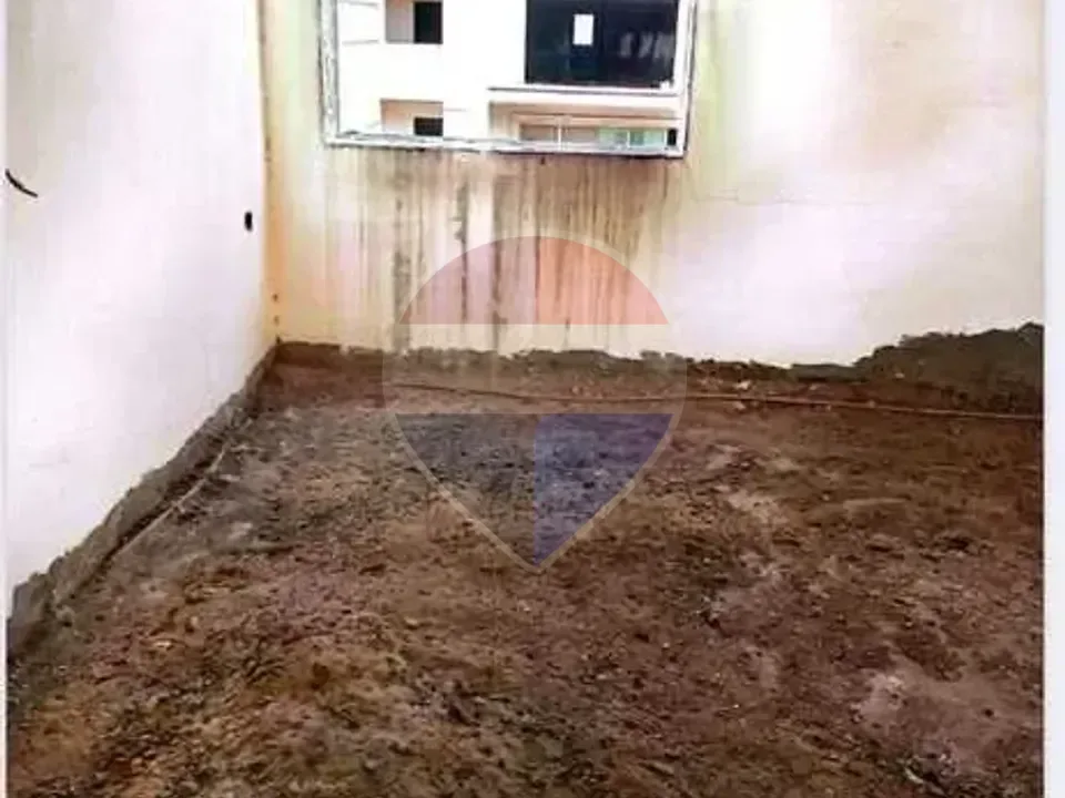 شقة