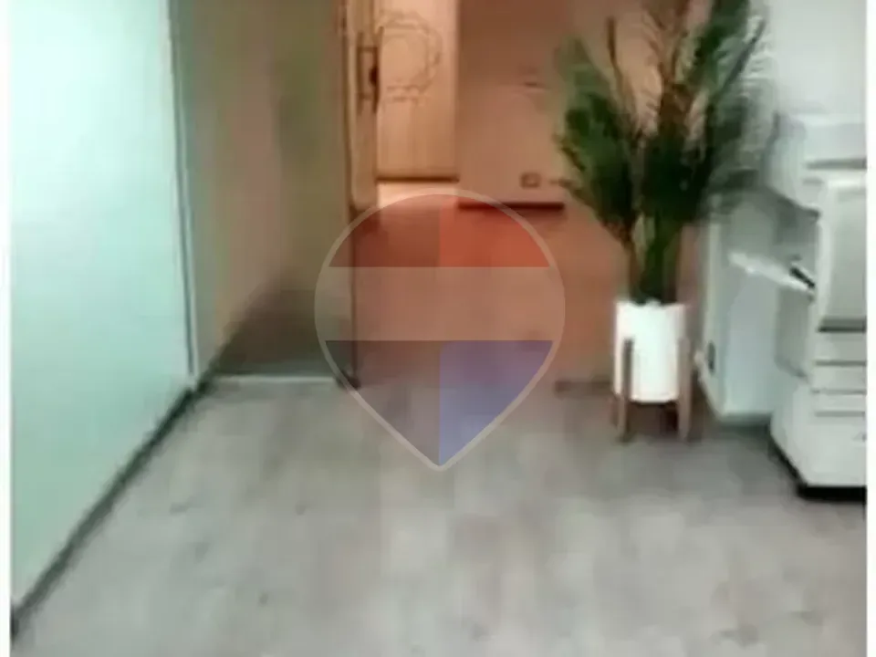 An apartment for banks and major companies with an area of 800 m² divided into offices in Zamalek.