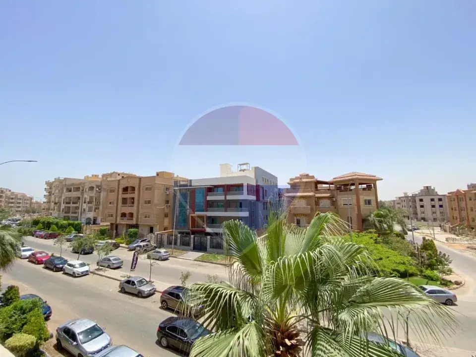 شقة