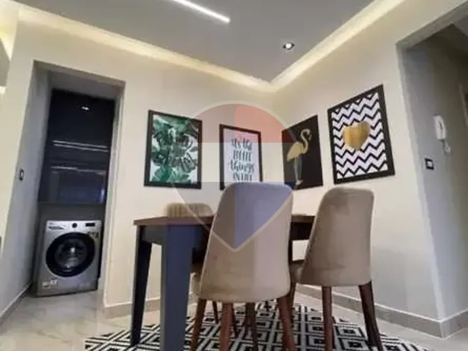 شقة