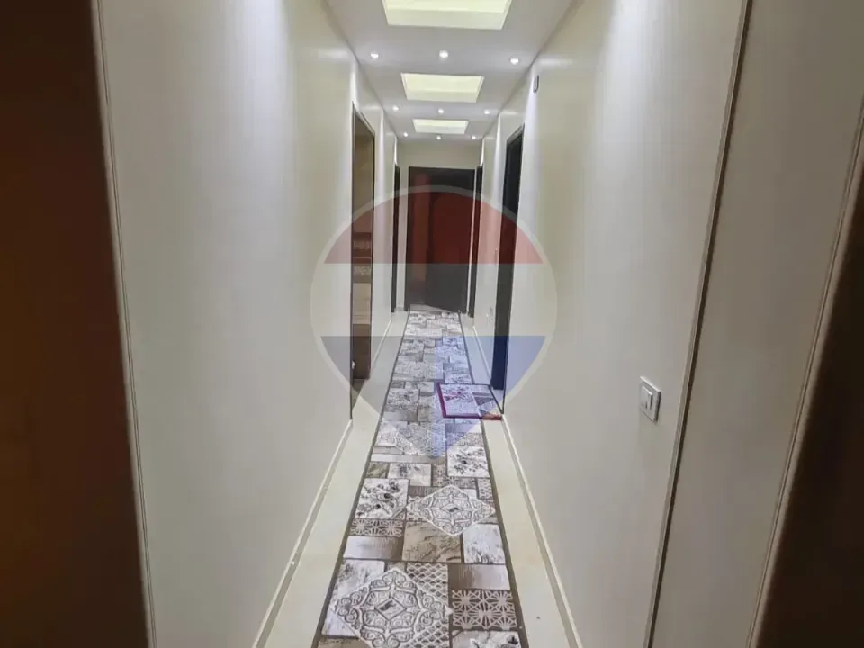 شقة