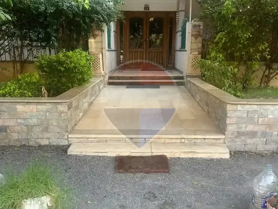 شقة