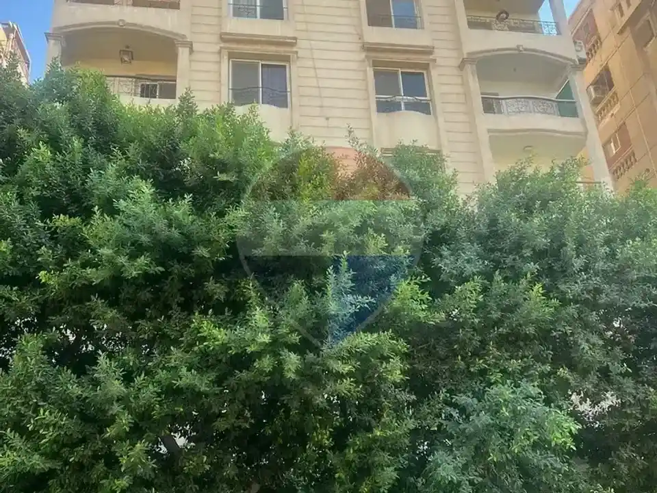شقة