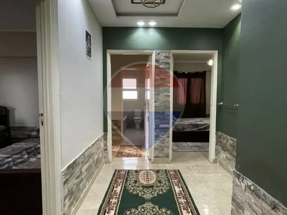 شقة