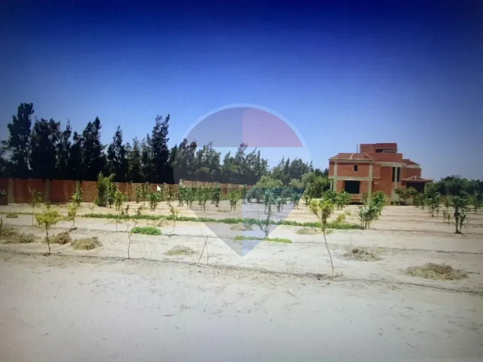 شقة