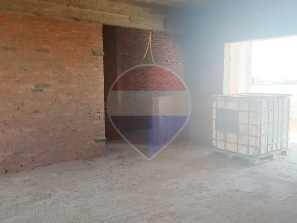 شقة