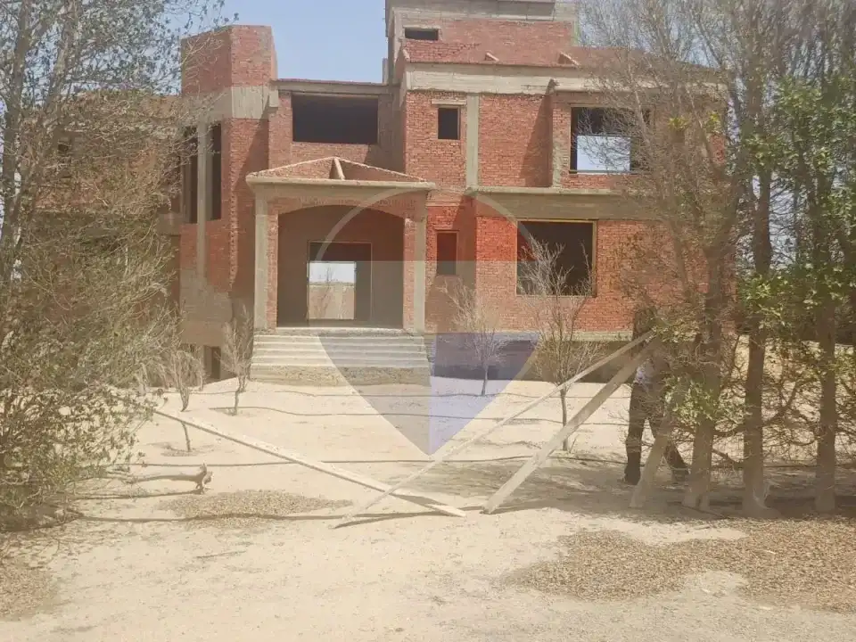 شقة